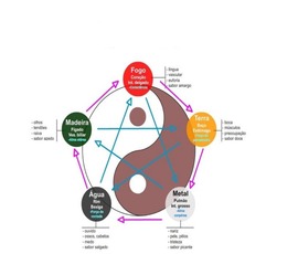 SPfarma - Os Oito Princípios da Medicina Tradicional Chinesa